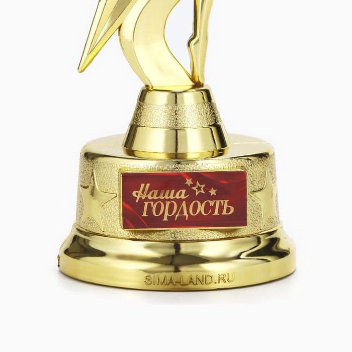 Кубок «Наша гордость», золото, пластик, 21.5×7.5 см — фото 4