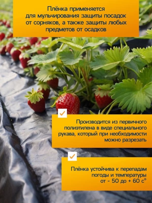 Плёнка из полиэтилена, техническая, толщина 200 мкм, чёрная, 10×3 м, рукав (1.5 м×2), Эконом 50%, Greengo — фото 2