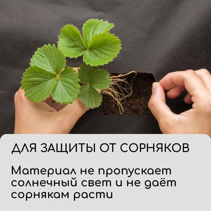 Материал для ландшафтных работ, 10×1.6 м, плотность 120 г/м², спанбонд с УФ-стабилизатором, чёрный, Greengo, Эконом 30% — фото 4