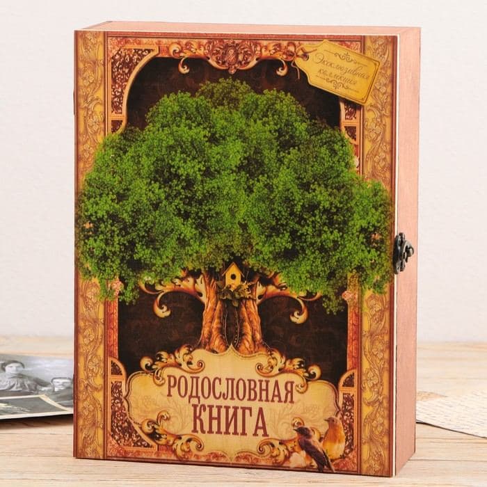 Родословная книга в шкатулке «Древо жизни», 56 листов, 20×26 см — фото 3