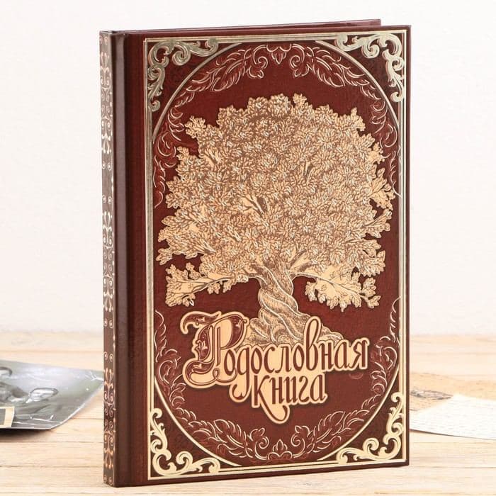 Родословная книга в шкатулке «Древо жизни», 56 листов, 20×26 см — фото 4