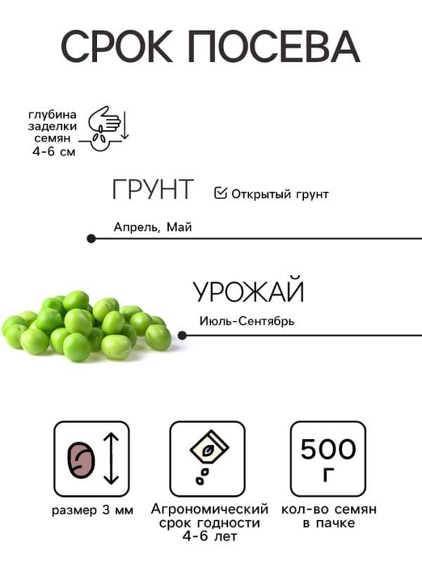 Семена Горох «Альфа», 500 г, «Сембат» — фото 2