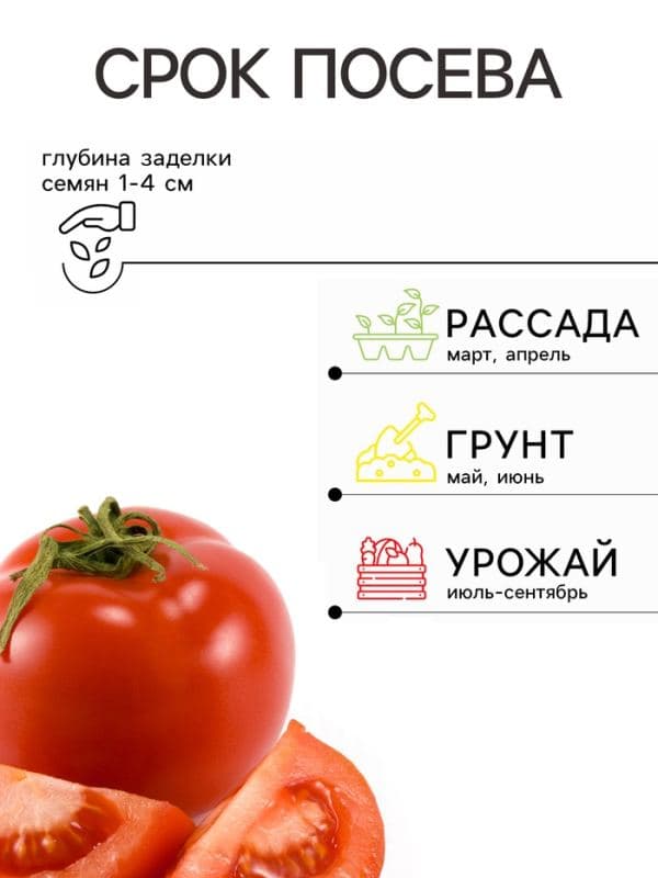 Семена Томата «Корнабель», F1, индетерминантный, высокорослый, 3 шт., «Престиж семена» — фото 2