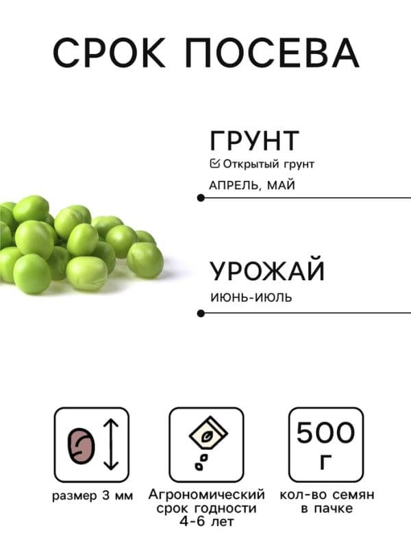 Семена Горох «Беркут», 500 г, «Сембат» — фото 2
