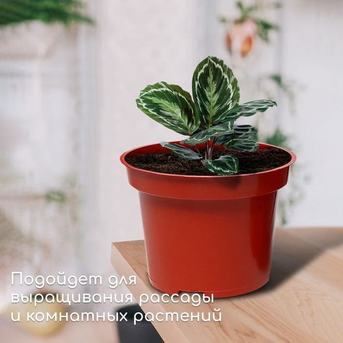 Горшок для рассады, 7.5 л, d=26 см, h=20 см, пластик, цвет терракот, Greengo — фото 3