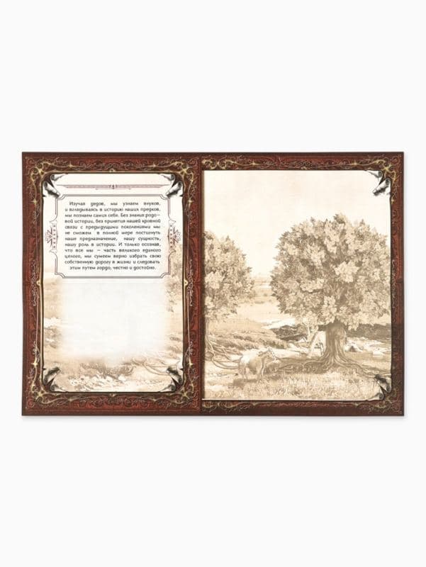 Родословная книга «Древо», 56 листов, 16.5×24 см — фото 4