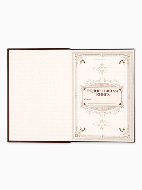 Родословная книга «Древо», 56 листов, 16.5×24 см — фото 5
