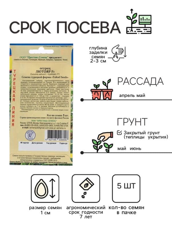 Семена Огурец «Лютояр» F1, 5 шт., «Престиж семена» — фото 2