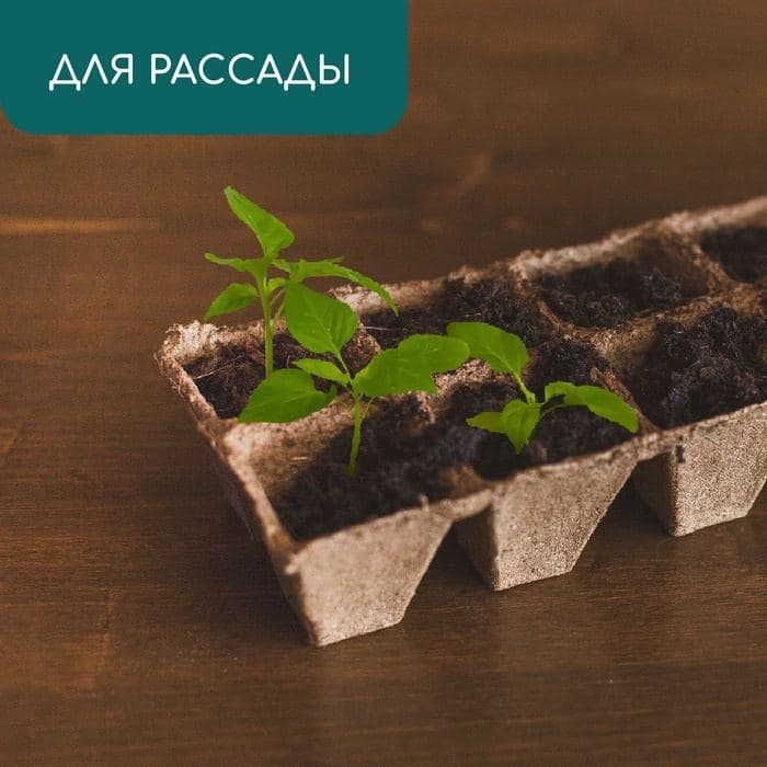 Кассета для рассады, 30×15×8 см, 8 ячеек по 150 мл, 6×6 см, торф, набор 3 шт. — фото 3