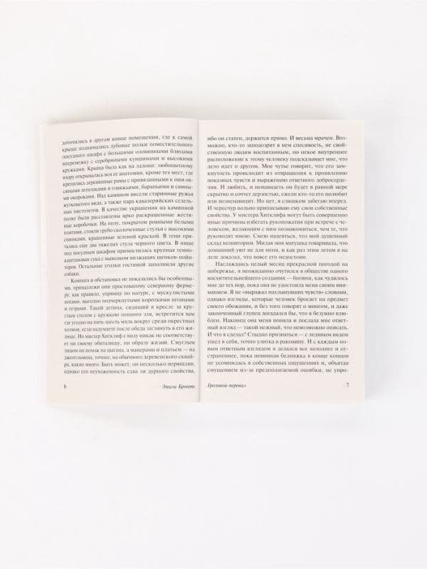 Книга «Грозовой перевал», Эмили Бронте — фото 5