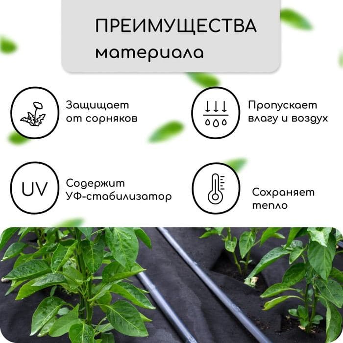 Материал мульчирующий, с перфорацией, 5×1.6 м, плотность 80 г/м², спанбонд с УФ-стабилизатором, 2 ряда перфорации, чёрный, Greengo, Эконом 30% — фото 2