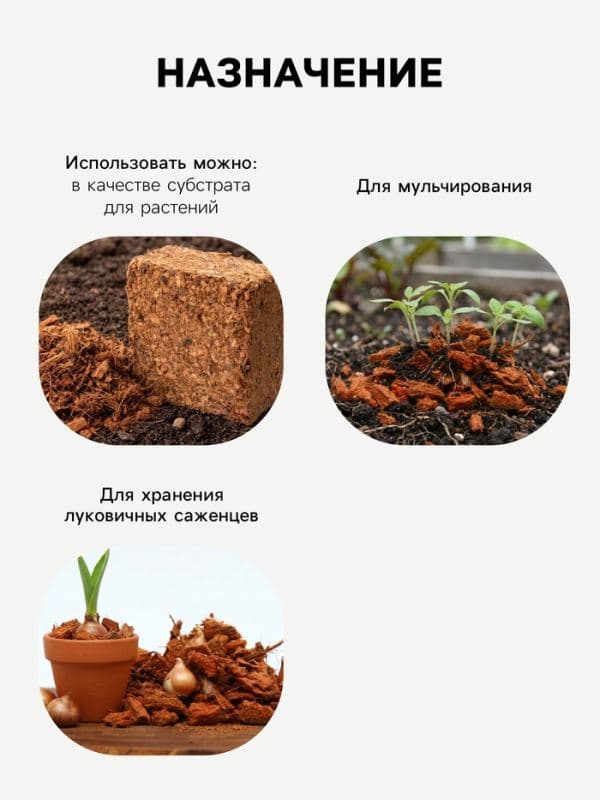 Кокосовые чипсы «Рецепты Дедушки Никиты», 10 л — фото 4