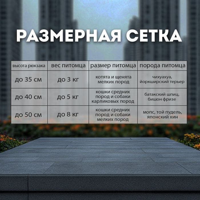 Рюкзак-переноска для кошек и собак, 35×30×26 см, серый — фото 3