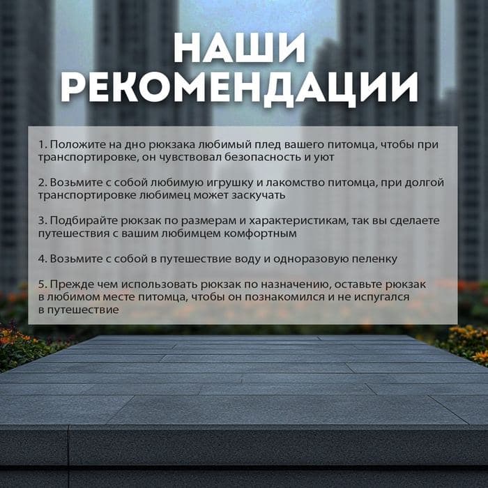 Рюкзак-переноска для кошек и собак, 35×30×26 см, серый — фото 4