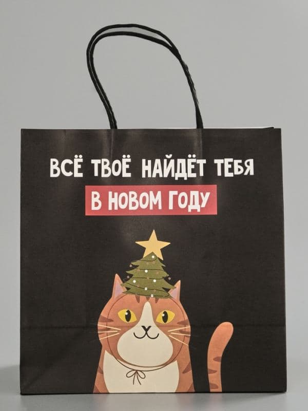 Пакет подарочный крафт «Найду новом году», 22×22×11 см — фото 2