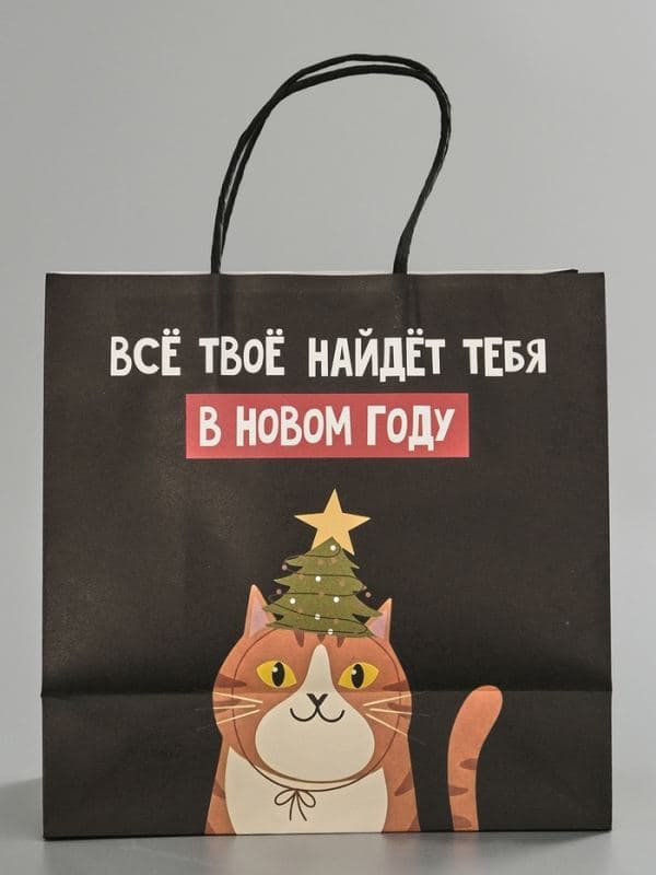 Пакет подарочный крафт «Найду новом году», 22×22×11 см — фото 4