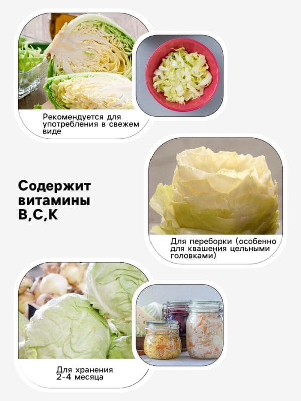 Семена Капуста цветная «Каспер Р3», F1.10 шт., «Престиж семена» — фото 3