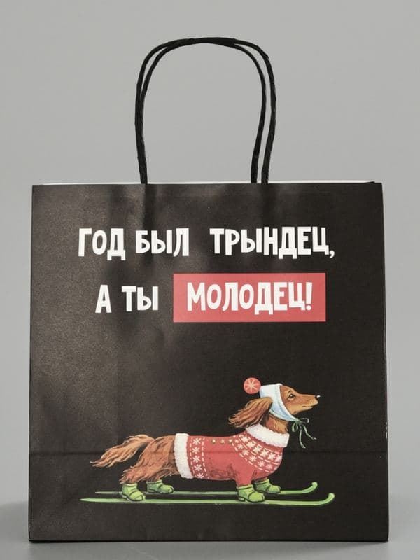 Пакет подарочный крафт «Молодец», 22×22×11 см — фото 2