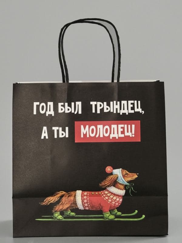 Пакет подарочный крафт «Молодец», 22×22×11 см — фото 4