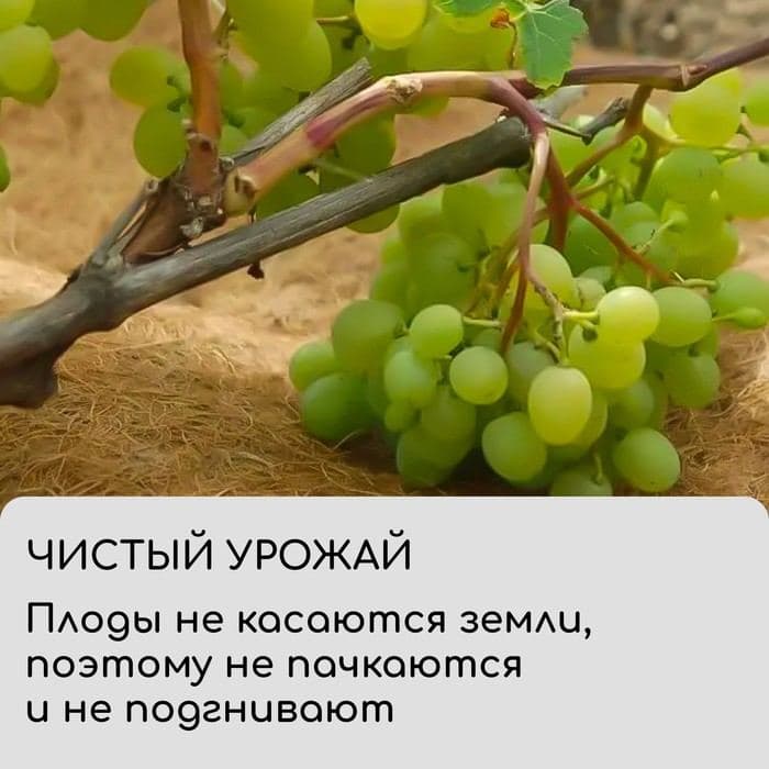 Круг приствольный, d=0.3 м, из кокосового полотна, набор 5 шт., «Мульчаграм» — фото 4
