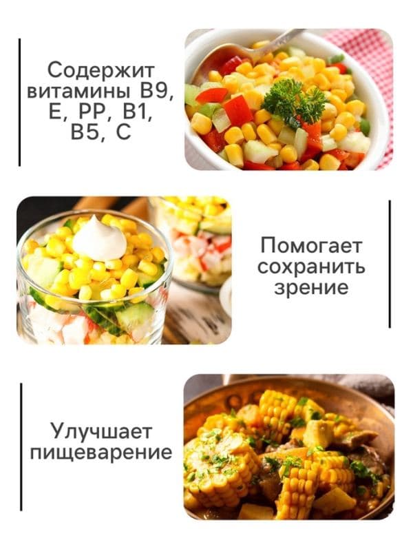 Семена Кукуруза сахарная «Карамело», F1, 15 шт., «Престиж семена» — фото 3