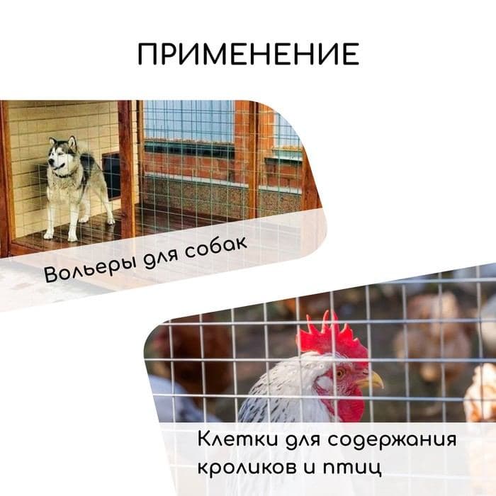 Сетка сварная с ПВХ покрытием, 10×1 м, ячейка 75×100 мм, d=1 мм, металл, Greengo — фото 3