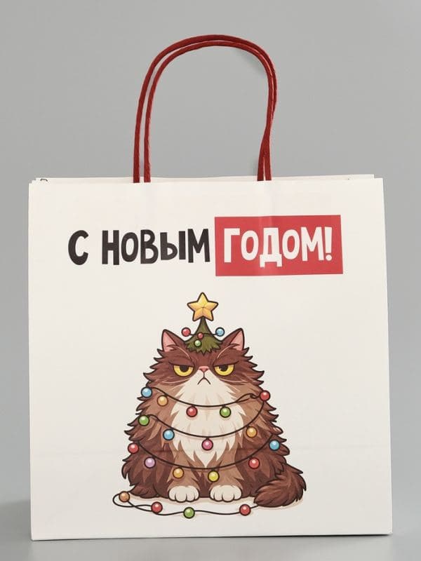 Пакет подарочный крафт «С Новым годом», котик, 22×22×11 см — фото 2