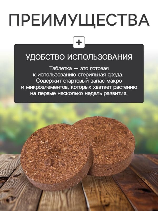 Набор для рассады: торфяная таблетка d=5.5 см, 15 шт., кассета на 15 ячеек по 150 мл, поддон 35×22 см, зелёный, пластик, Экоторф — фото 5