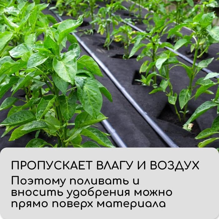 Полоса защитная для междурядий, 20×0.3 м, плотность 80 г/м², спанбонд с УФ-стабилизатором, чёрная, Greengo, Эконом 30% — фото 5