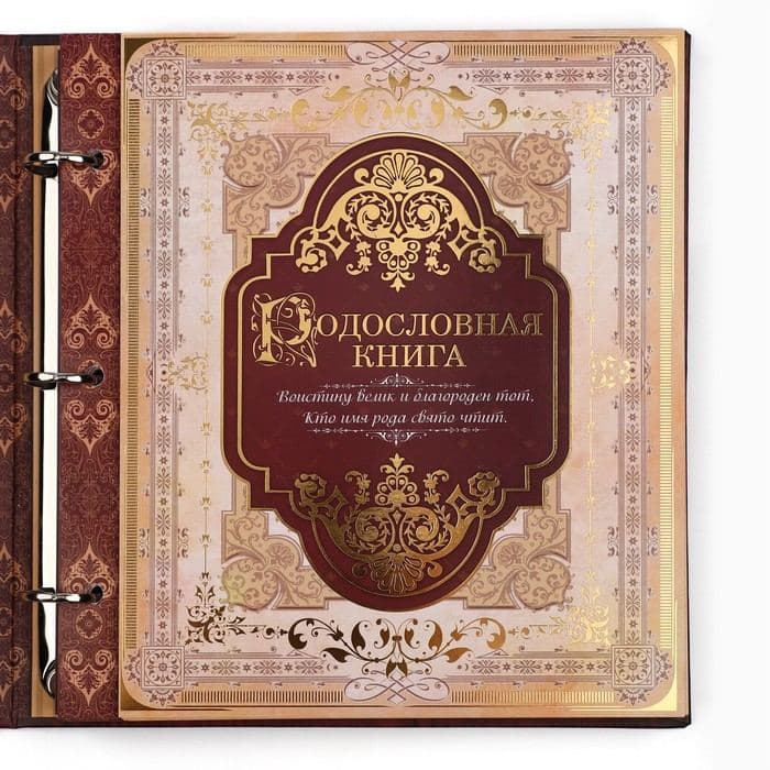 Родословная книга с рамкой под фото «Родословная книга», под дерево, 50 листов, 21.5×23.7 см — фото 5