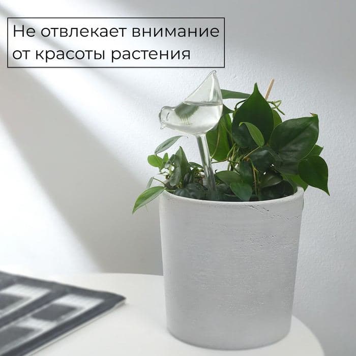 Автополив для комнатных растений «Птичка», 90 мл, ПВХ, Greengo — фото 4