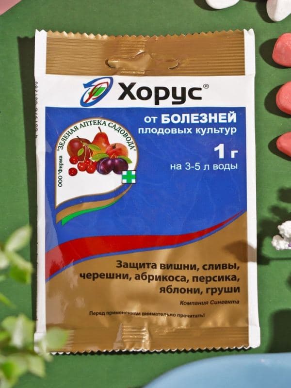 Препарат от основных болезней плодовых культур Хорус 1 г — фото 2