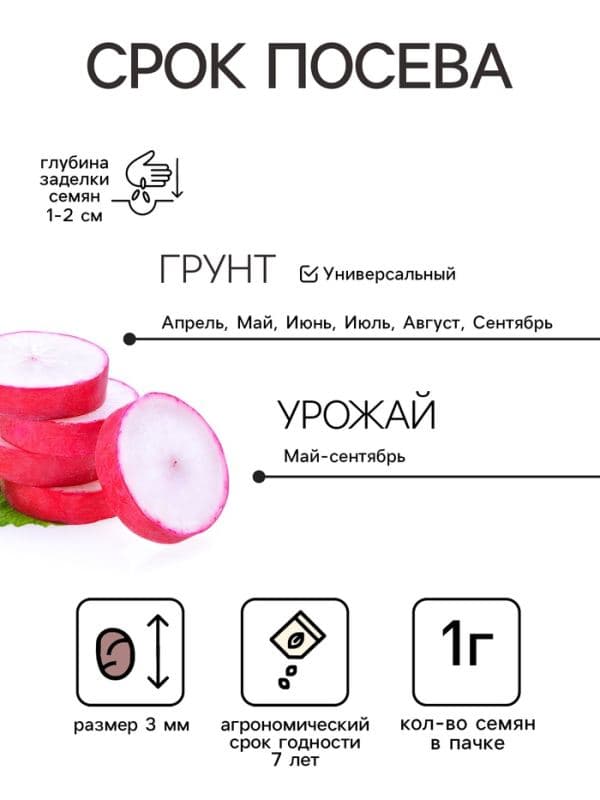 Семена Редис «Селеста» F1, 1 г, «Престиж семена» — фото 2