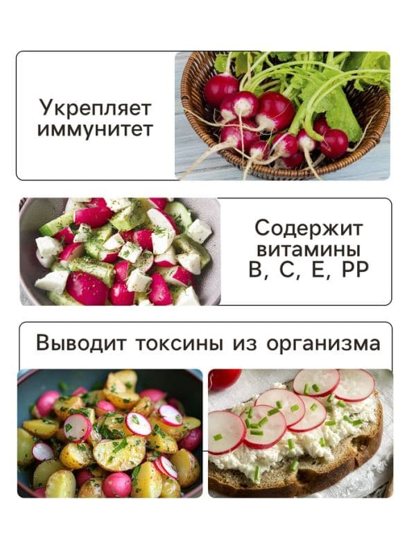 Семена Редис «Селеста» F1, 1 г, «Престиж семена» — фото 3