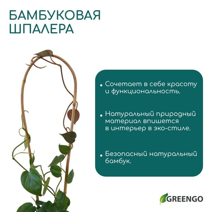 Дуга для подвязки растений, h=60 см, бамбук, Greengo — фото 3