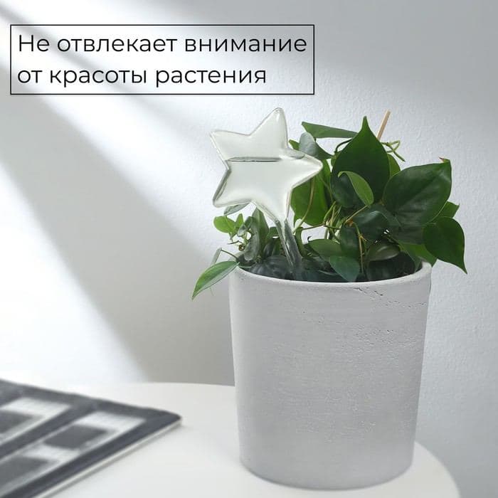 Автополив для комнатных растений «Звезда», 100 мл, ПВХ, Greengo — фото 4