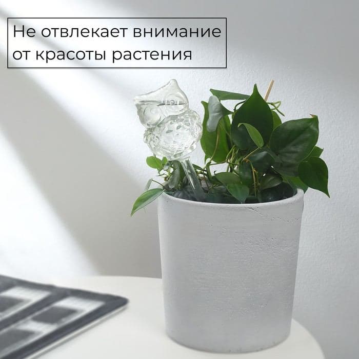 Автополив для комнатных растений «Сова», 200 мл, ПВХ, Greengo — фото 4