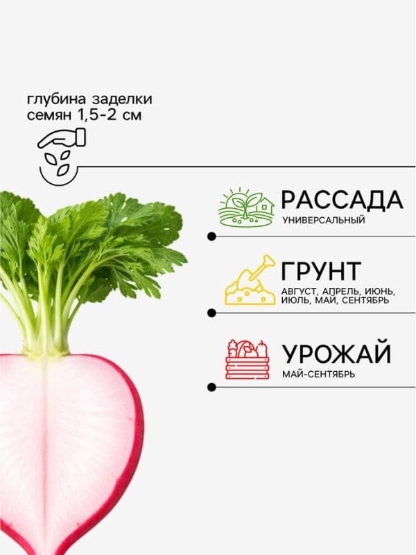 Семена Редис «Черриэт» F1, 1 г, «Престиж семена» — фото 2