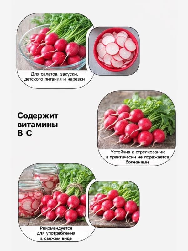 Семена Редис «Черриэт» F1, 1 г, «Престиж семена» — фото 3