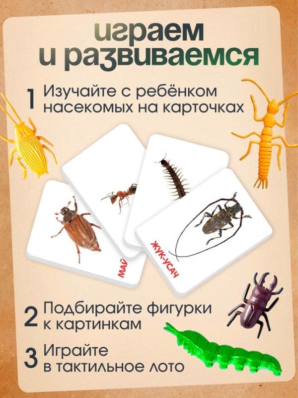 Развивающий набор «Мир насекомых», по методике Домана, 12 фигурок, 3+ — фото 2