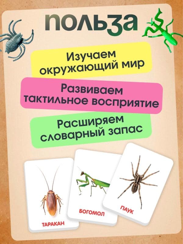 Развивающий набор «Мир насекомых», по методике Домана, 12 фигурок, 3+ — фото 4