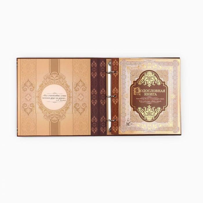 Родословная книга с рамкой под фото «Семейная летопись», 22.5×23.7 см — фото 3