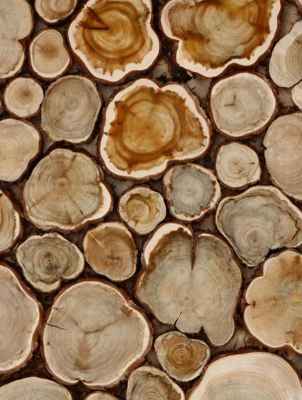 Панно из можжевельника для бани, 50×50 см — фото 5