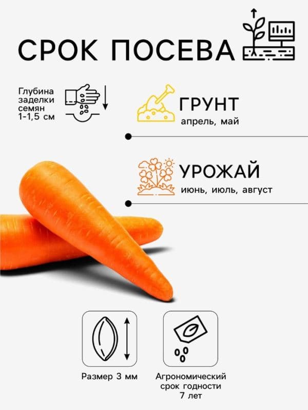 Семена на ленте Морковь «Лагуна» F1, 6 м, «Престиж семена» — фото 2