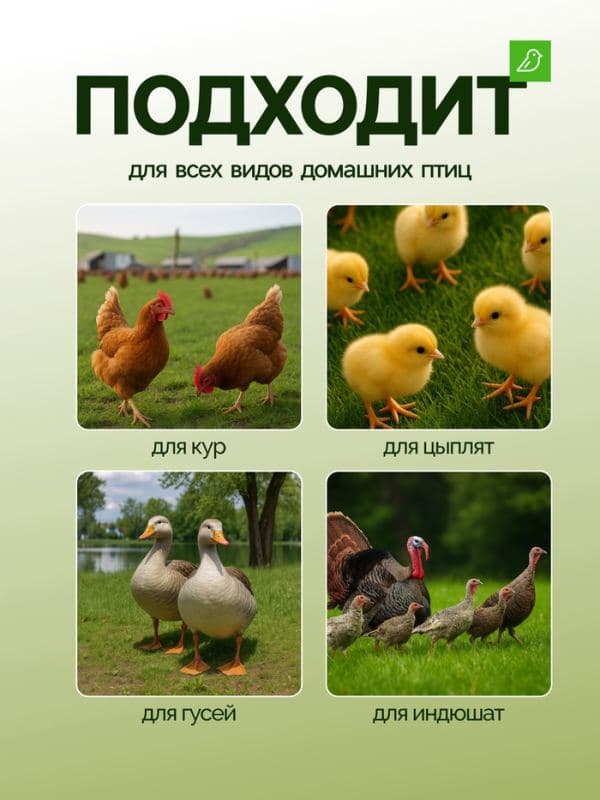 Кормушка бункерная для домашней птицы на 12 кг, пластик — фото 4