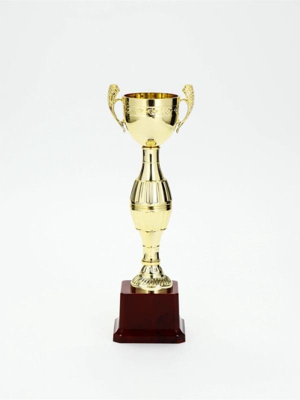 Кубок спортивный, для награждения, подставка пластик, 26.2×8.7×7.5 см, цвет золотой — фото 1