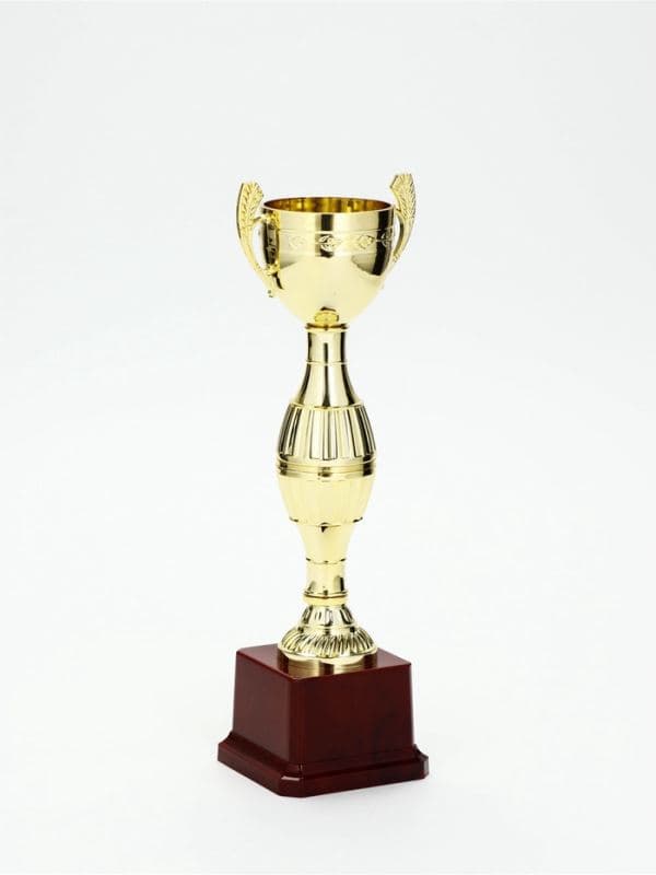 Кубок спортивный, для награждения, подставка пластик, 26.2×8.7×7.5 см, цвет золотой — фото 2