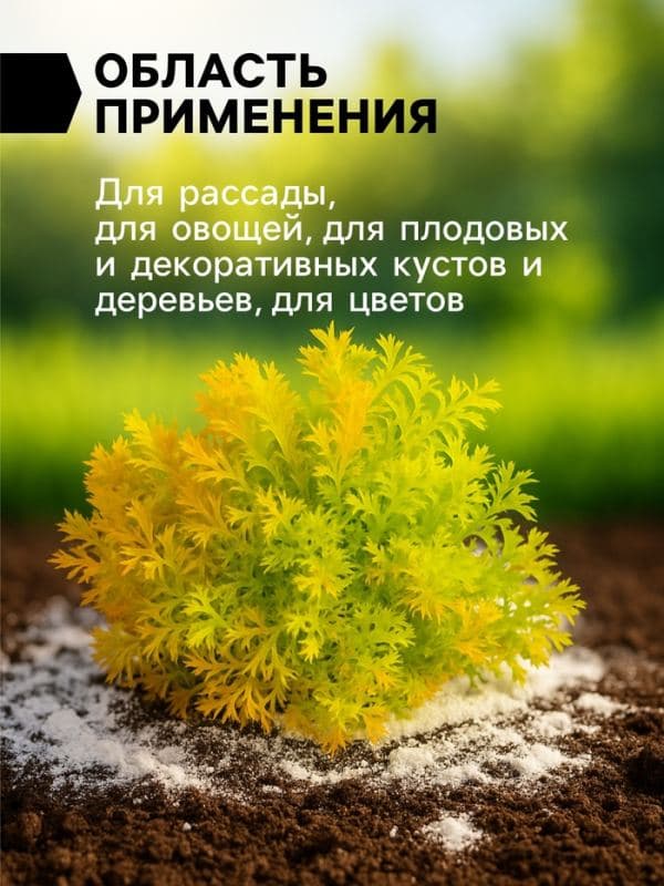 Доломитовая мука «Рецепты Дедушки Никиты» 20 кг — фото 2