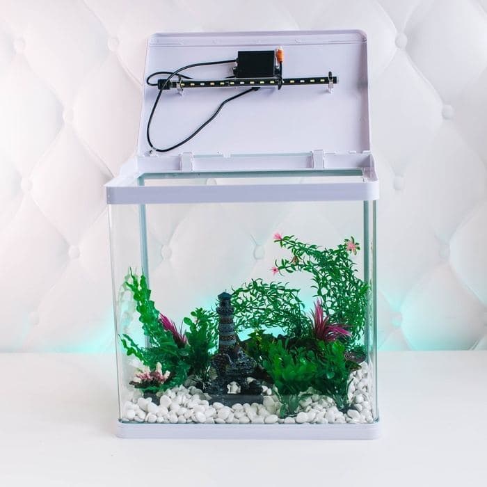 Грунт для аквариума DECOR DE «Галька цветная», фр. 8-12 мм, белая, 800 г — фото 4
