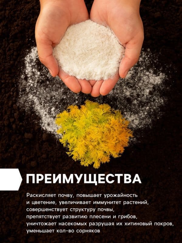 Доломитовая мука «Рецепты Дедушки Никиты» 1 кг — фото 3